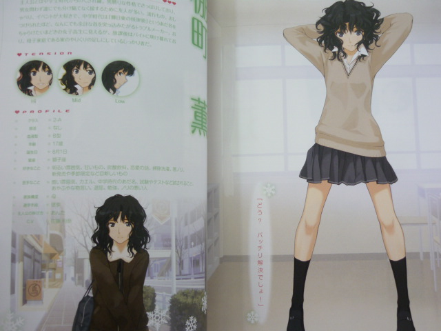 AMAGAMI Official Complete Guide PS2 Book EB85* | eBay