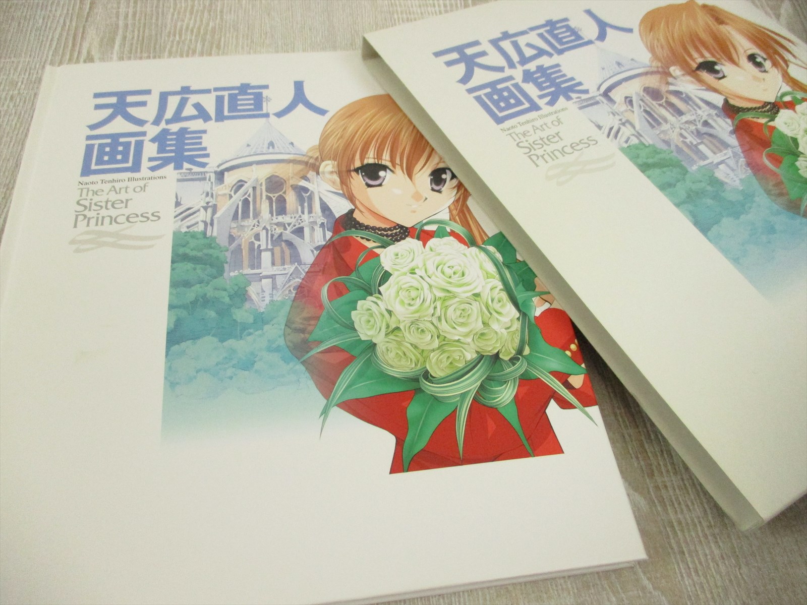 NAOTO TENHIRO GASHU Sister Princess Illustration Art Book MW42* | eBay