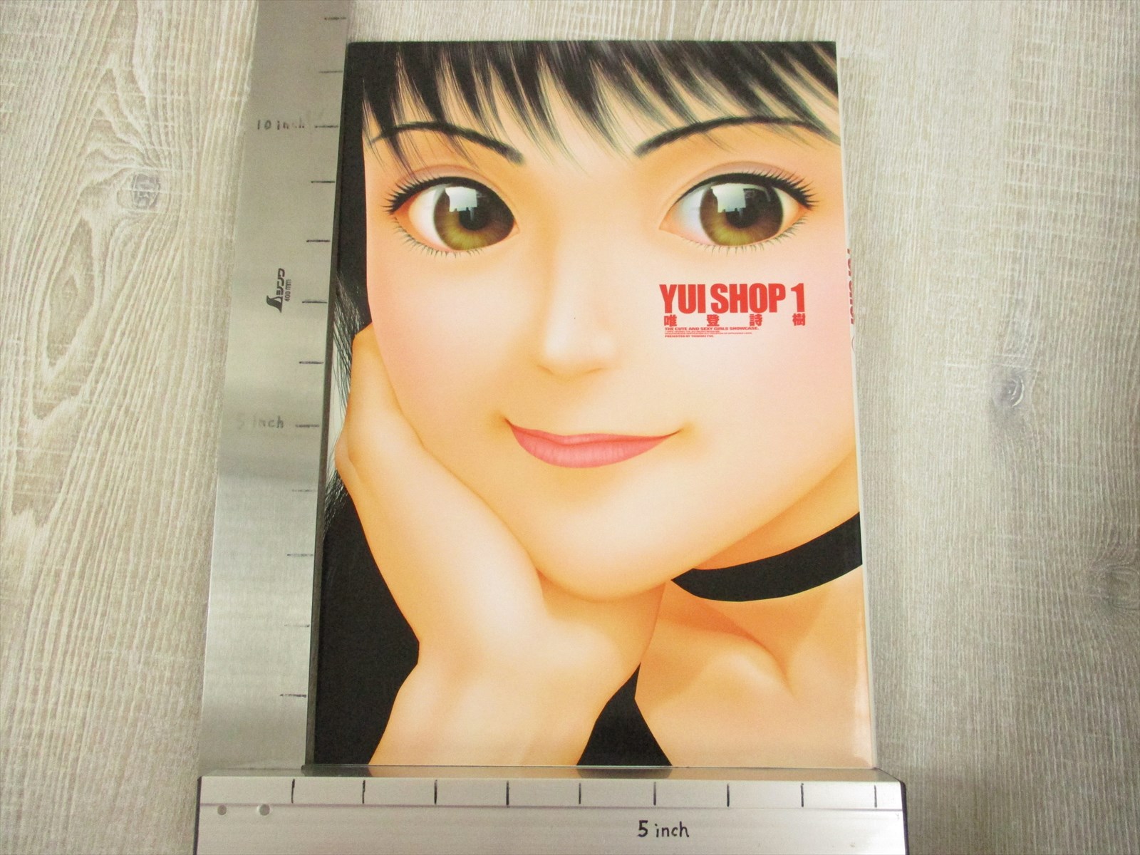 YUI SHOP MINI AKA Red Art Toshiki Illustration Book Fanbook KO22* | eBay
