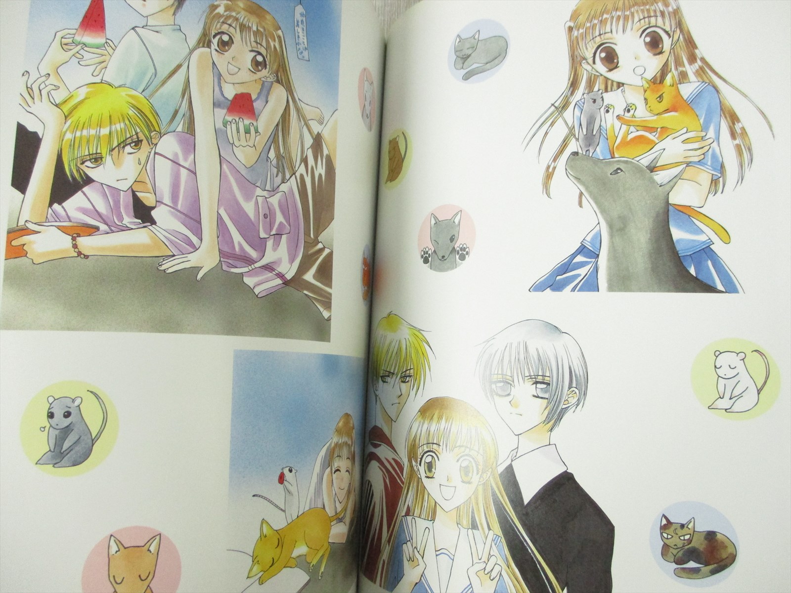 Natsuki Takaya Fruits Basket illustration art book