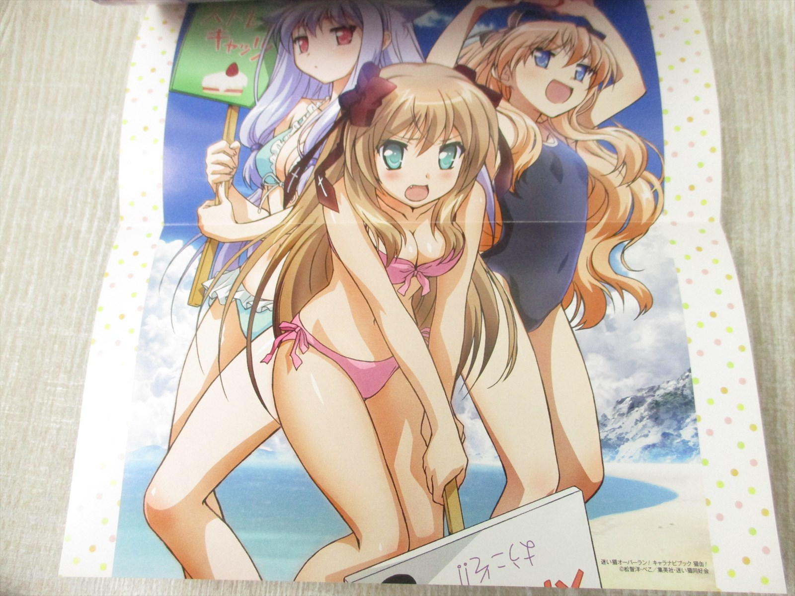 Mayoi Neko Overrun Character Navigation Nekokan W Poster Art Japan Book Sh99 Ebay Mayoi Neko Overrun Character Navigation Nekokan W Poster Art Japan Book Sh99 Ebay