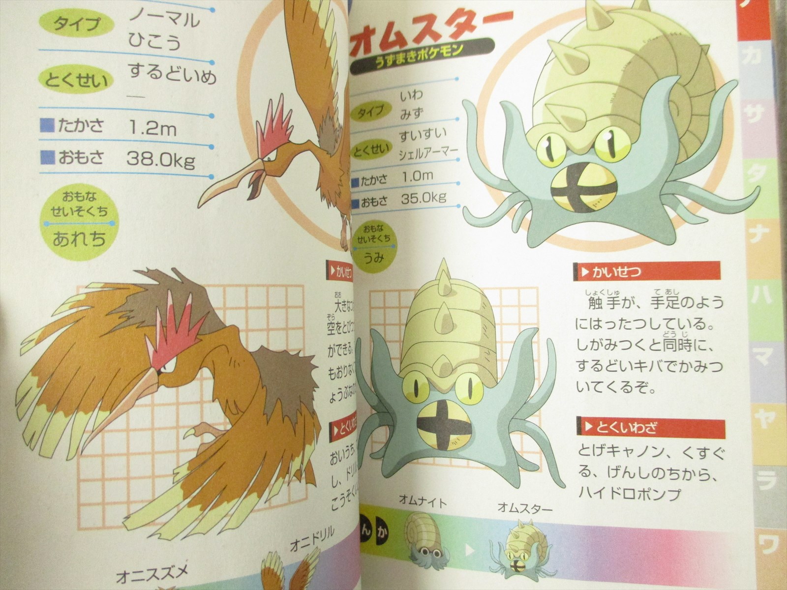 ポケモン本 Pokemon Black White Official Ish Zukan Completion Guide 2010