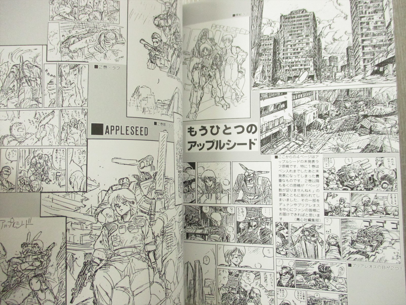 APPLESEED id Apple Seed Illustration & Data Book Art Fan