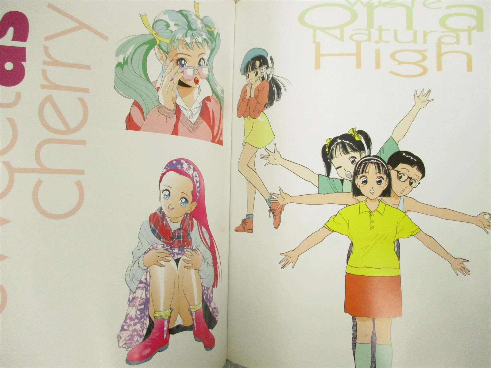 U-JIN Art Gashu U-JEUNE Illustration Art Works Fann Book