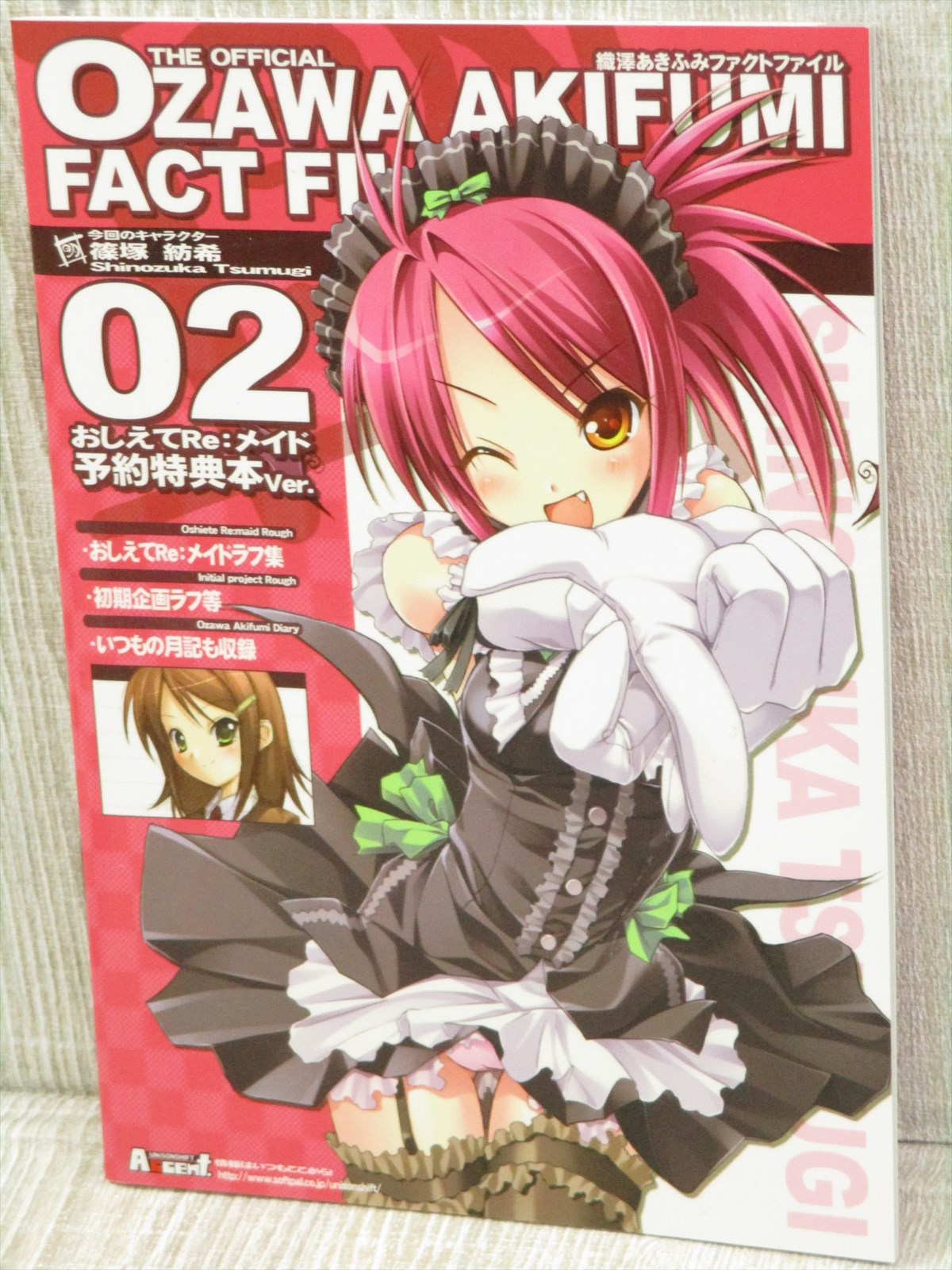 Akifumi Ozawa Fact File 02 Art Works Oshiete Re Maid Fan Book Booklet Ltd Ebay