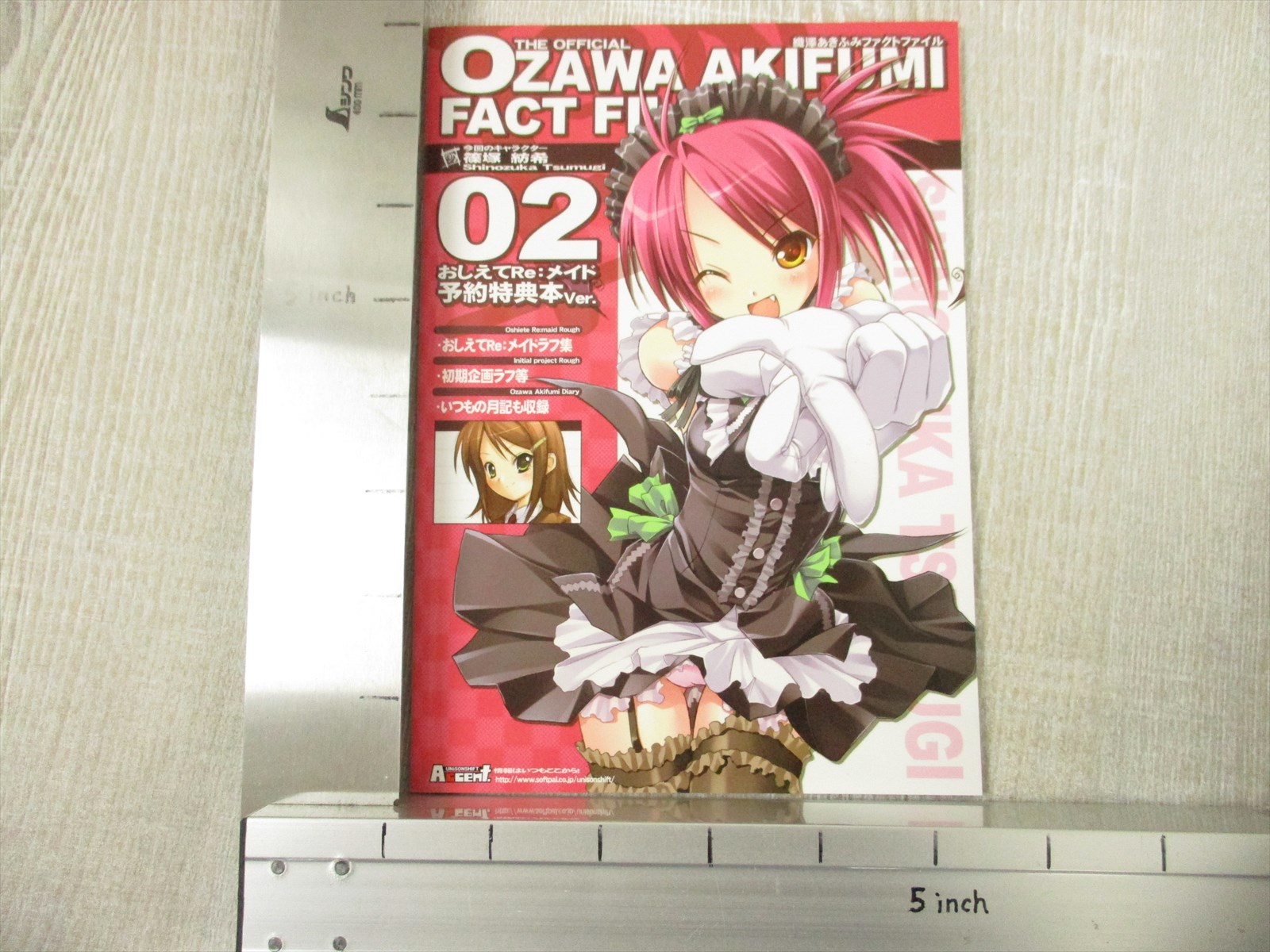 Akifumi Ozawa Fact File 02 Art Works Oshiete Re Maid Fan Book Booklet Ltd Ebay