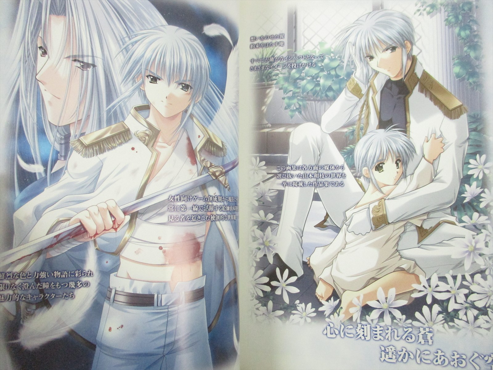 Kazue Yamamoto Gashu Aozora Art Illustration Book Eb99 Ebay Kazue Yamamoto Gashu Aozora Art Illustration Book Eb99 Ebay