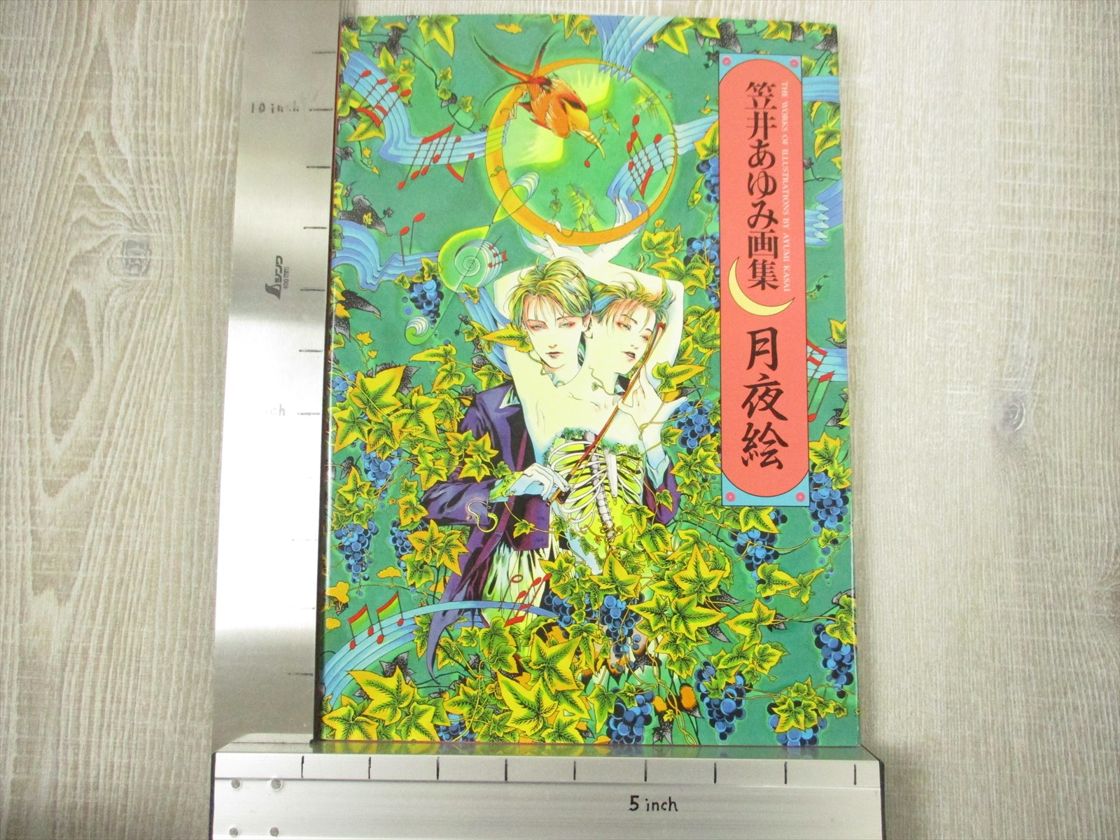AYUMI KASAI Gashu TSUKIYOE Art Works Illustration 1993 Book 21 | eBay