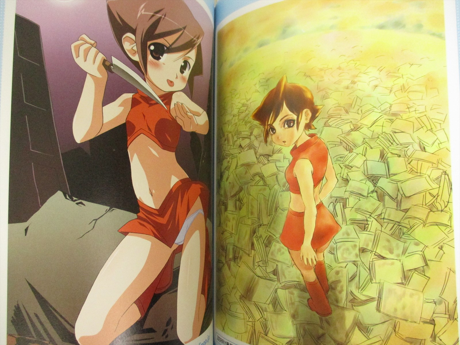 Netrun Mon Chronicle Art Works Takehito Harada 2005 Fan Book Sb Ebay