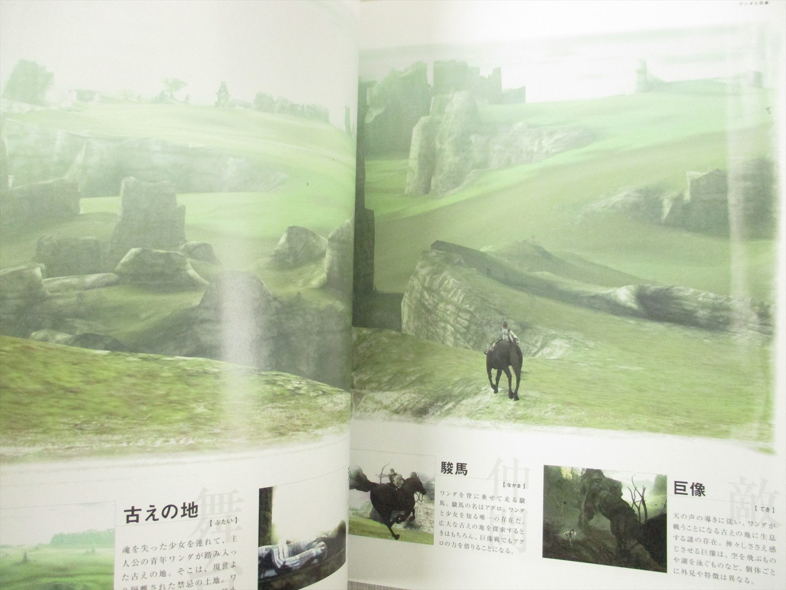 Wander To Kyozou Shadow Of The Colossus Official Guide Ps2 Ps3 Ps4 Book Eb06 Ebay