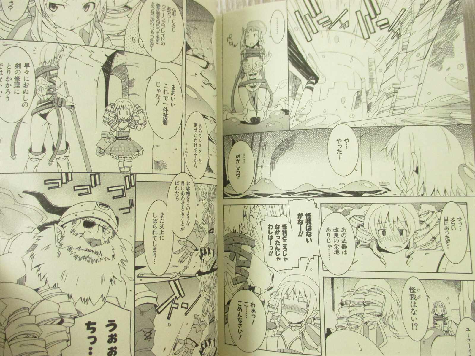 QUEEN'S BLADE STRUGGLE Manga Comic Complete Set 1-4 QUEEN'S BLADE STRUGGLE Manga Comic Complete Set 1-4