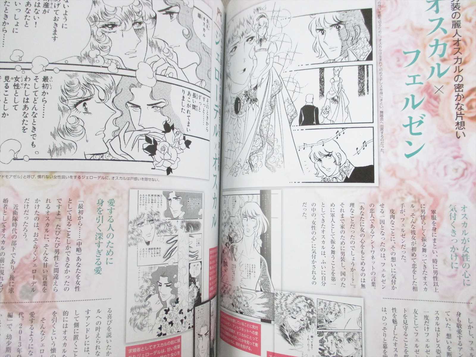 Rose Of Versailles Pia 17 45th Anniv Art Set Fan Book W Satin Pouch R Ikeda Ebay