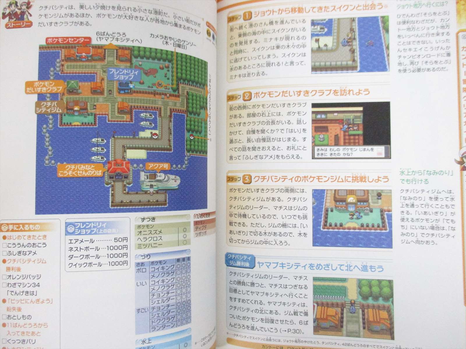 Pokemon Heart Gold Soul Silver Official Guide Nintendo Ds Book Mf90 Ebay