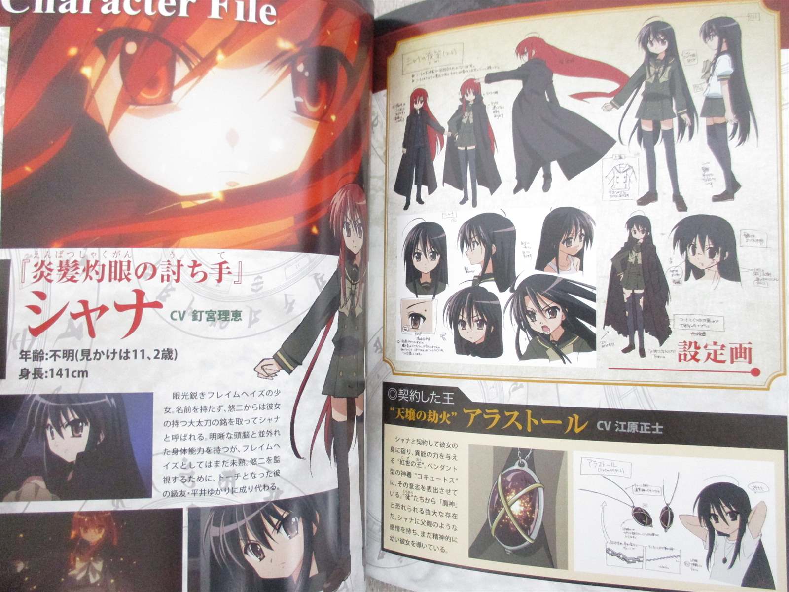 Shakugan No Shana Hamura Illustration Art Book Premium Animation Art Characters Collectibles