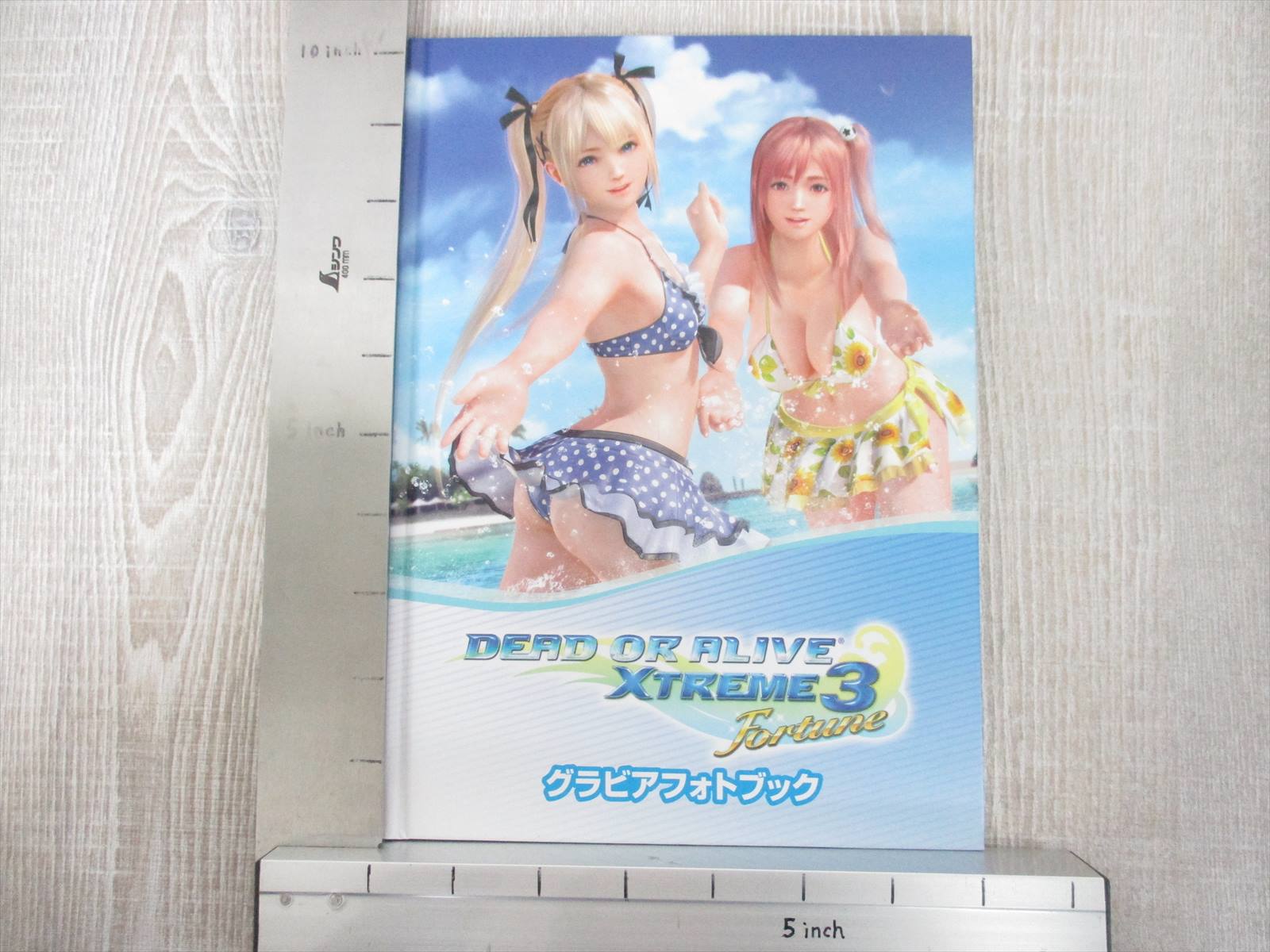 DEAD OR ALIVE DOA XTREME 3 Art Works FORTUNE Japan PS4 Fan Photo
