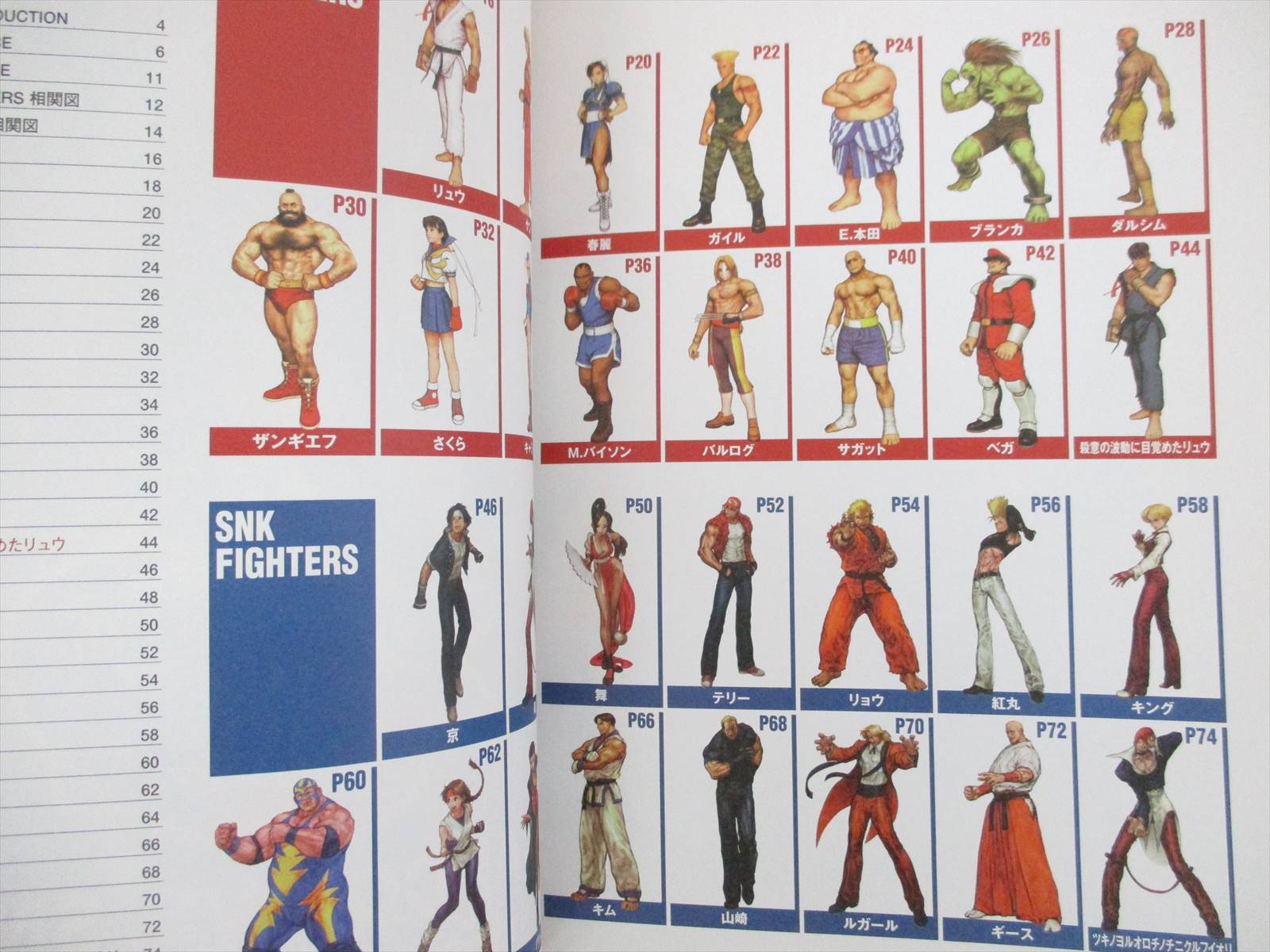 CAPCOM VS. SNK Millennium Fight 2000 Character Guide Art Fan