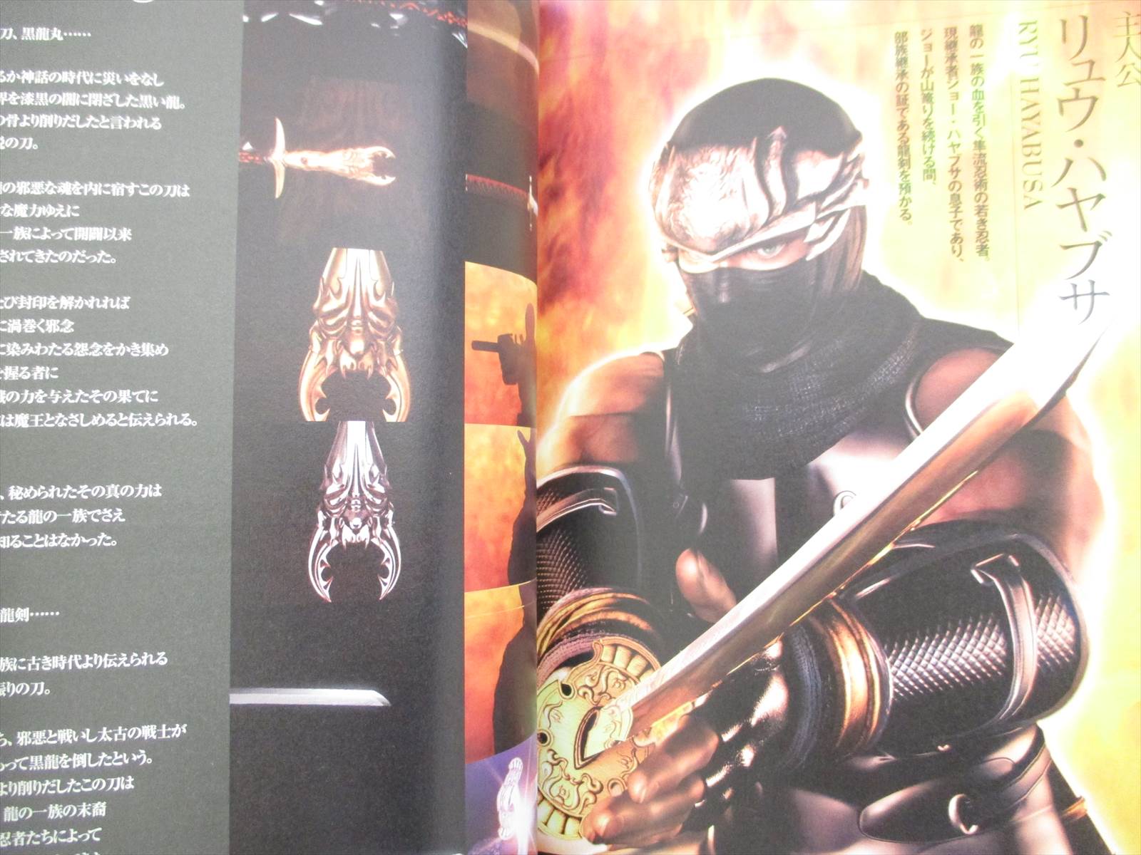 Ninja Gaiden Official Complete Guide Xbox Japan Book 04 Sb67 Ebay