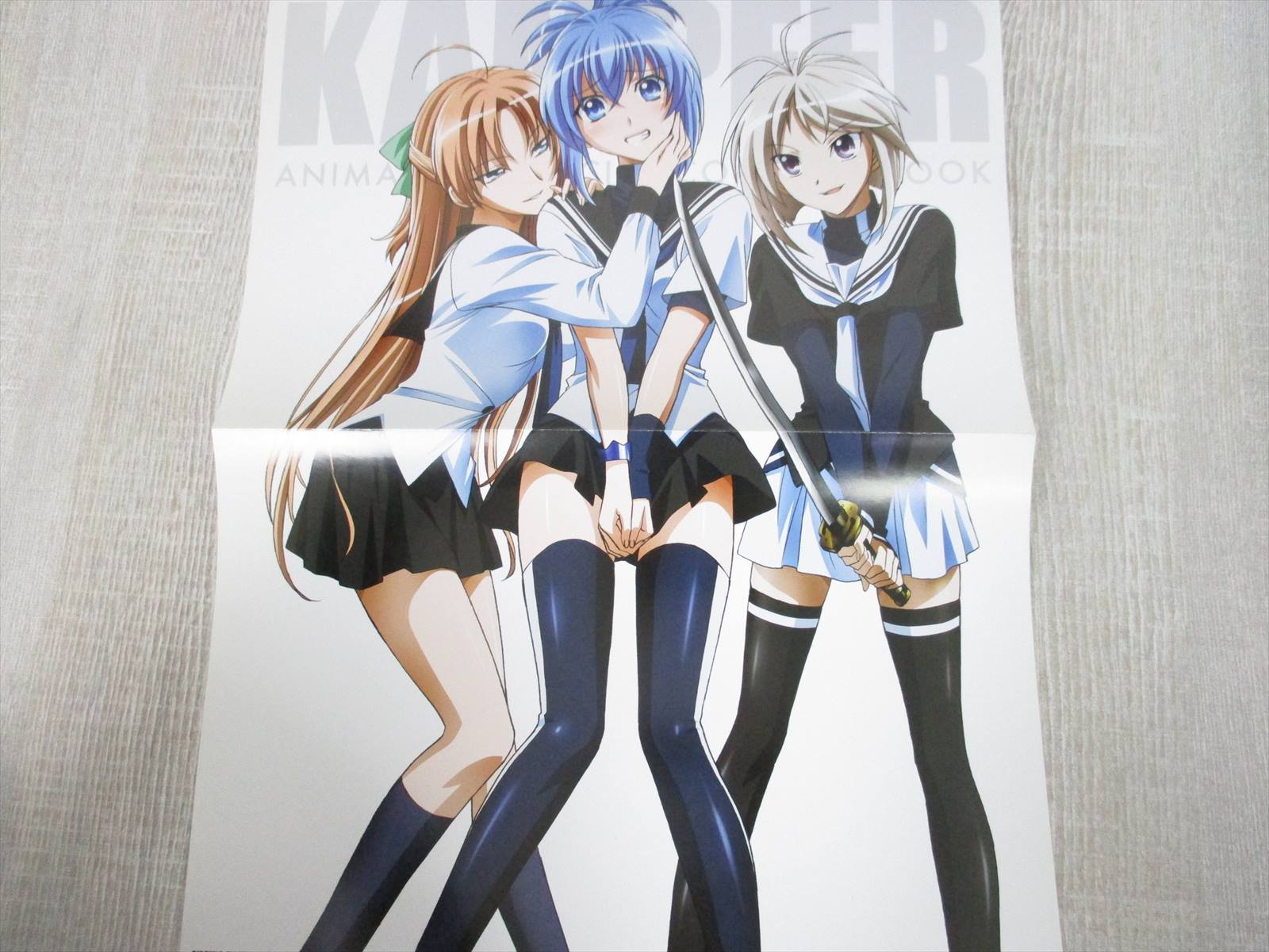 KAMPFER Anime Official Complete Book w/Poster Art Fan Book 2010 MF