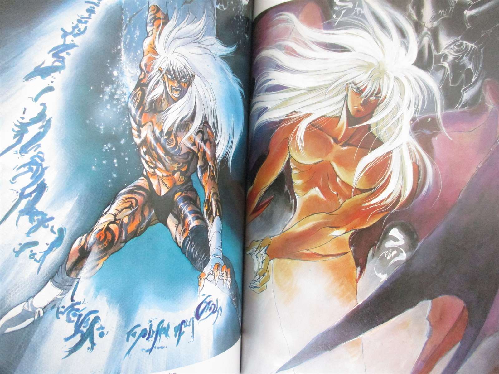 KAZUSHI HAGIWARA Art Set BASTARD GUARDRESS Comic Manga Book KAZUSHI HAGIWARA Art Set BASTARD GUARDRESS Comic Manga Book