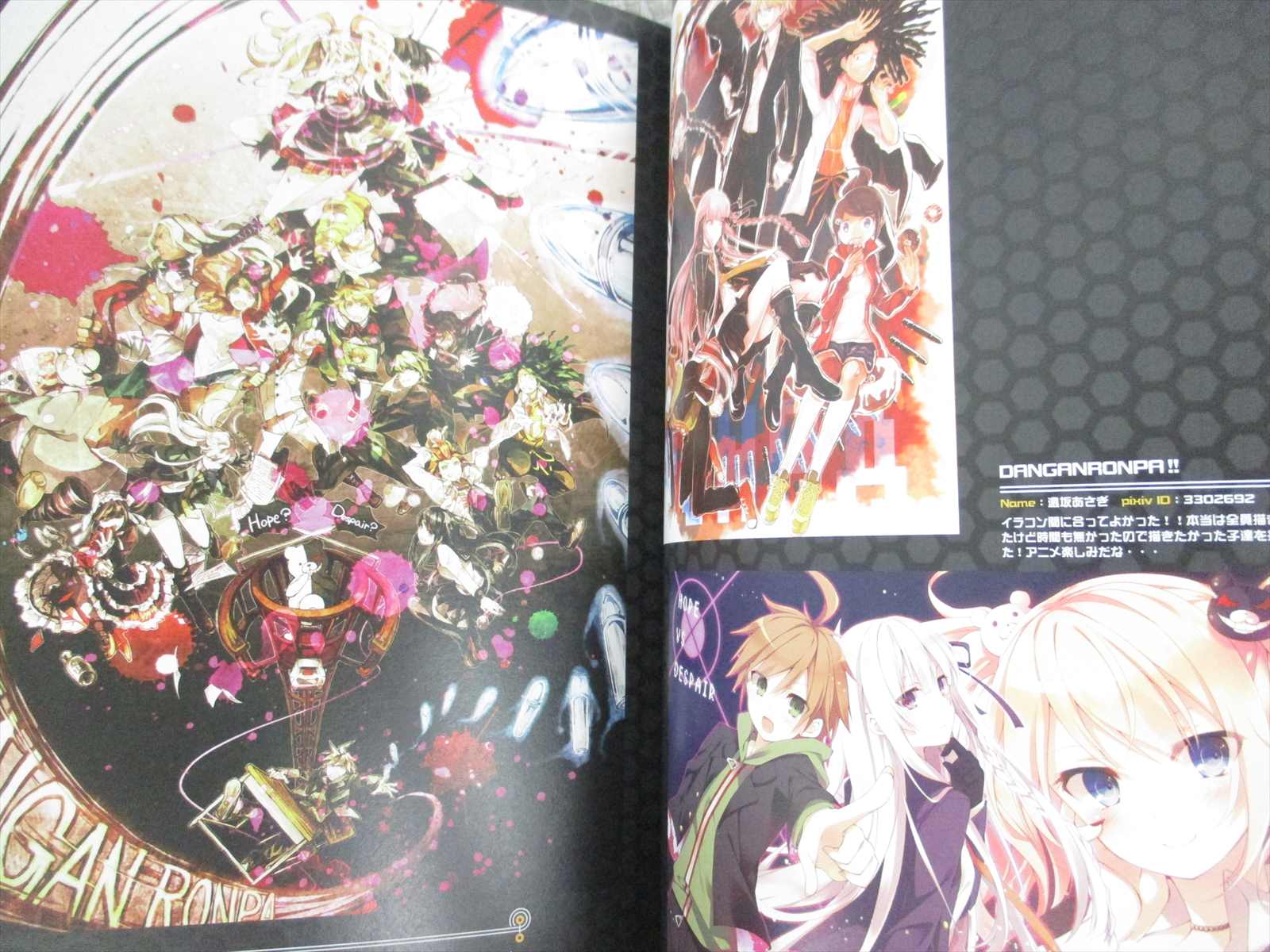 Pixiv X Danganronpa Animation Illust Collection Art Works Fan Book 13 Ltd Ebay