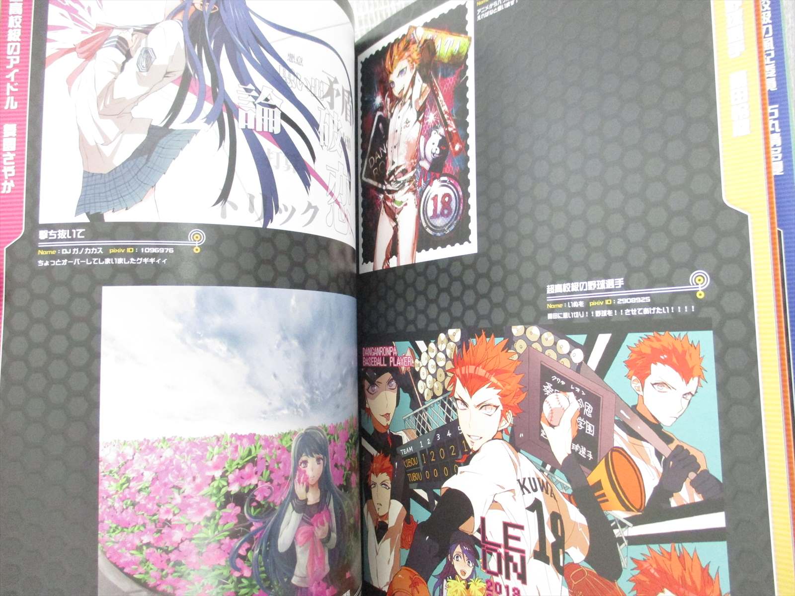 Pixiv X Danganronpa Animation Illust Collection Art Works Fan Book 13 Ltd Ebay