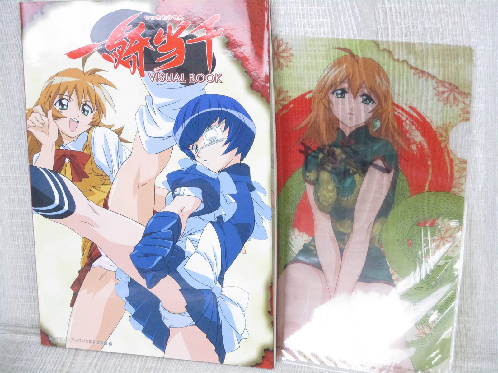 Ikki Tousen Tosen Visual Book W Poster Folder Art Works Fan 04 Japan 79 Ebay