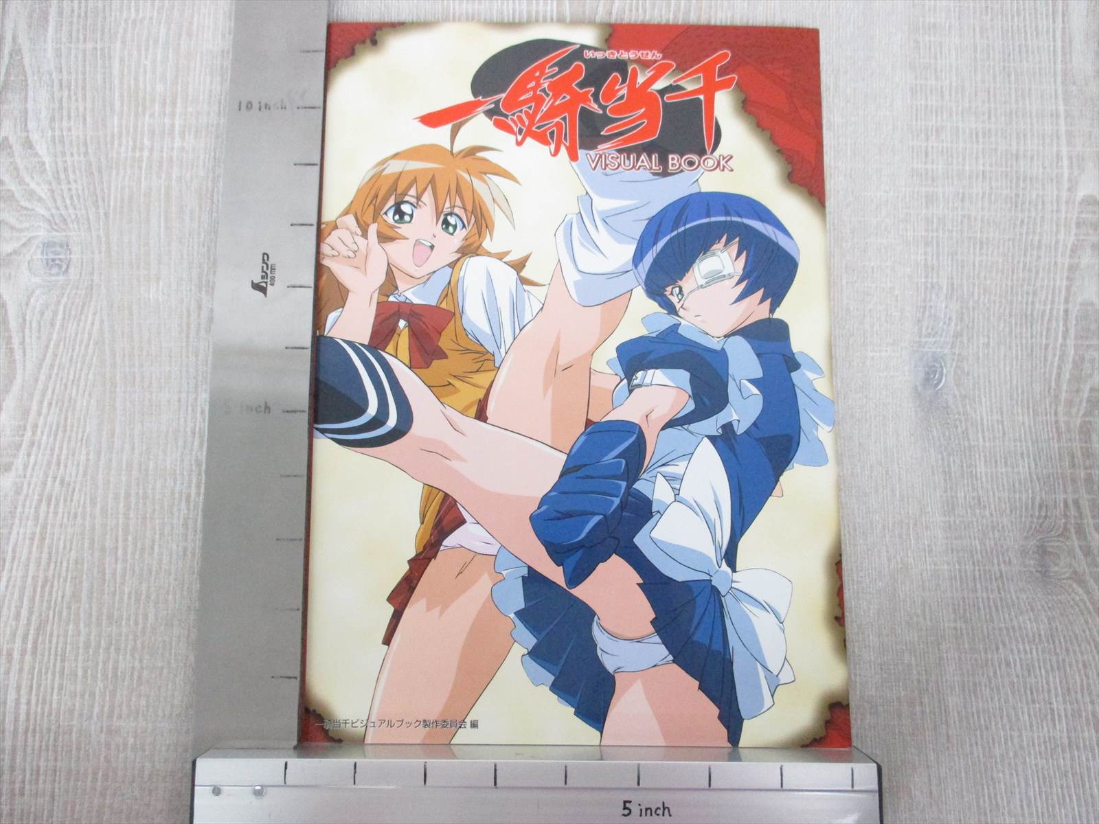 Ikki Tousen Tosen Visual Book W Poster Folder Art Works Fan 04 Japan 79 Ebay