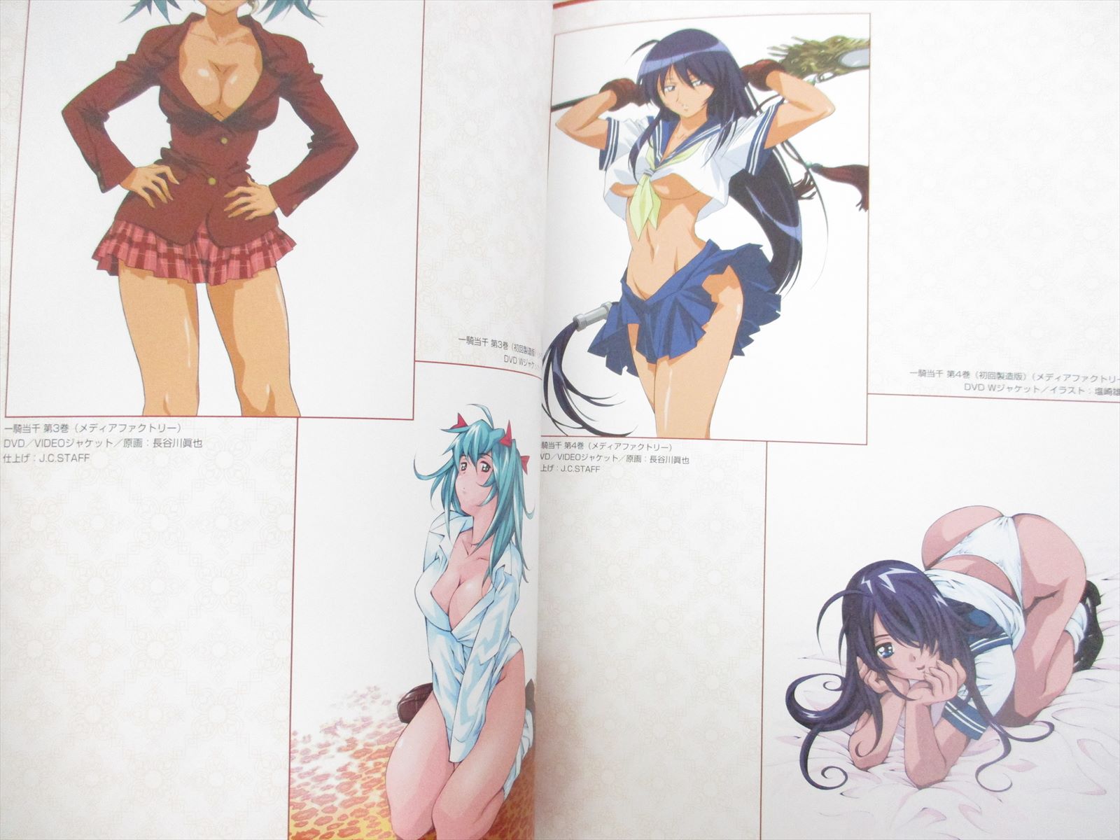 Ikki Tousen Tosen Visual Book W Poster Folder Art Works Fan 04 Japan 79 Ebay