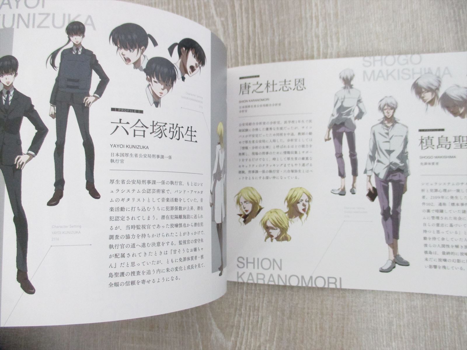 Psycho Pass Psycho Pass Movie Special Booklet Art Works Fan Book 15 Ltd Ebay