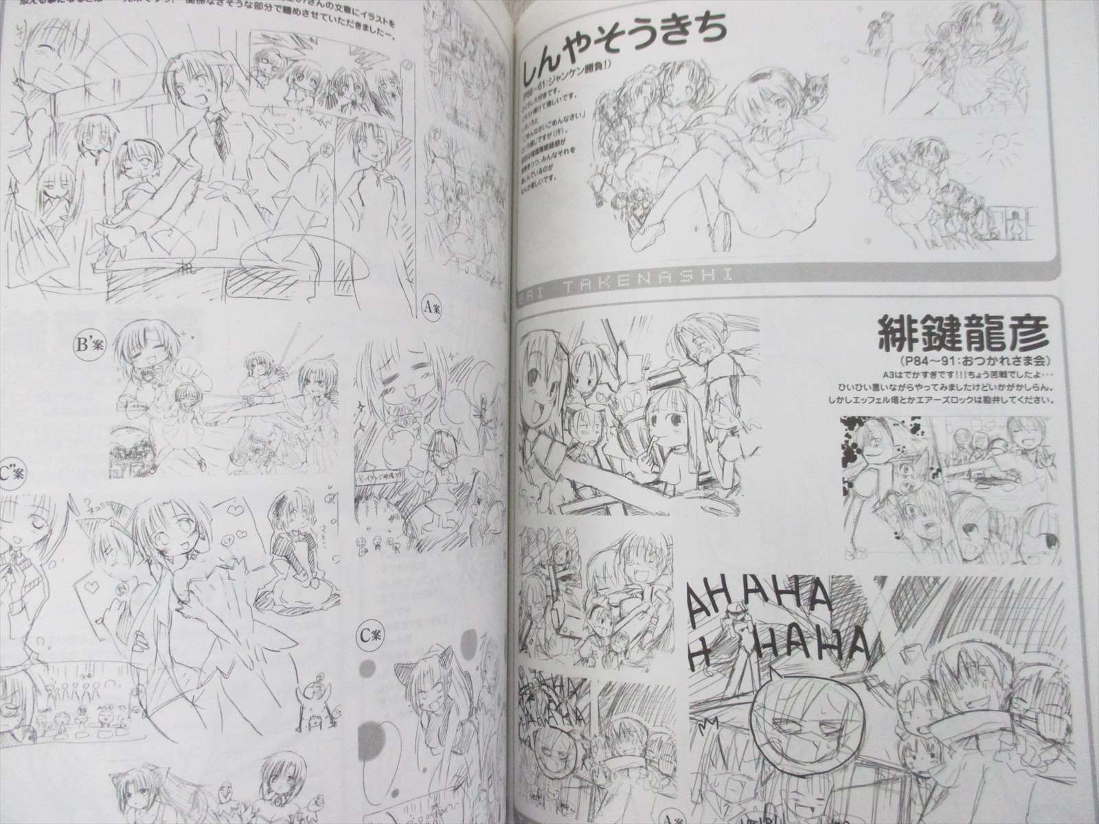 HIGURASHI NO NAKU KORO NI Visual Fan Book Art Works Japan