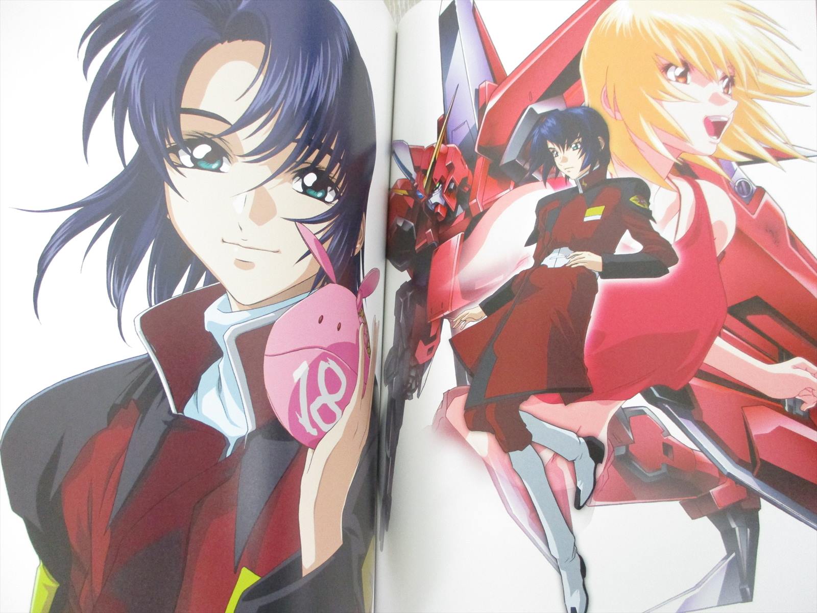 蒼穹のファフナー HISASHI HIRAI ILLUSTRAION BOOK Hisashi Hirai Illustration Works Art Book Vol.3 - hh3 (PURPLE)