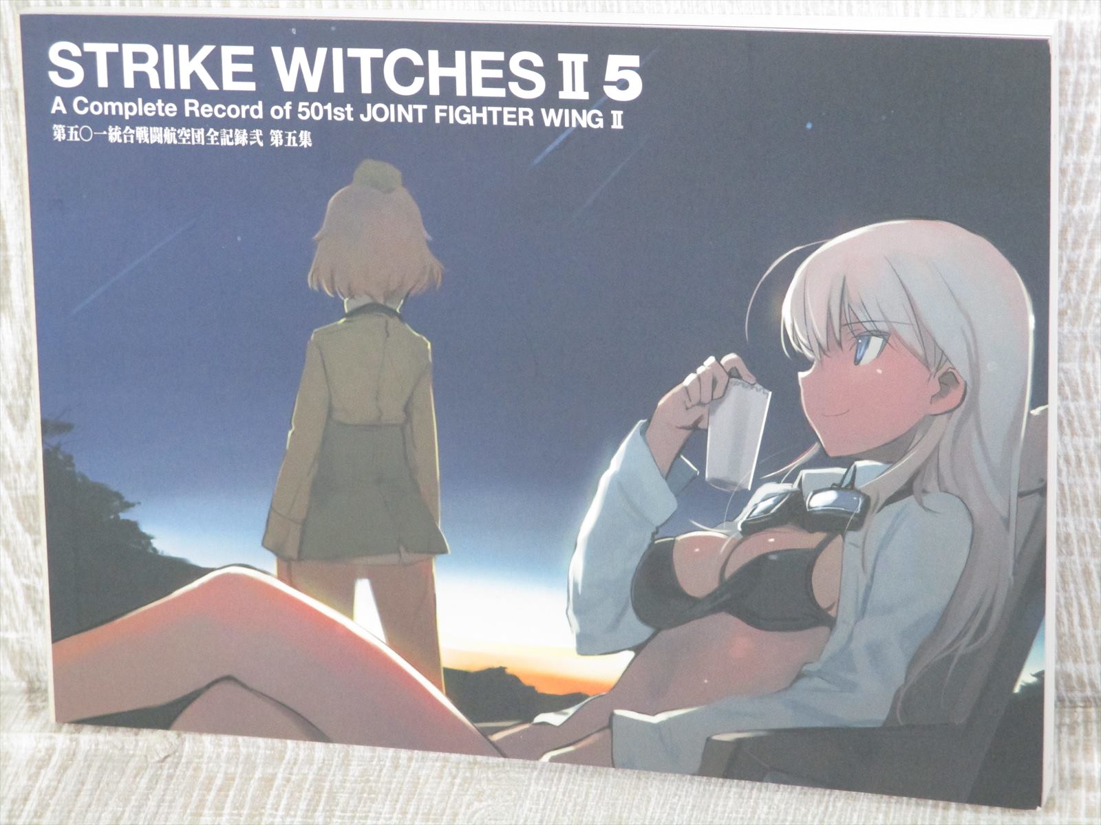 Strike Witches Ii 2 5 Art Works Japan Fan Book 10 Ltd Ebay