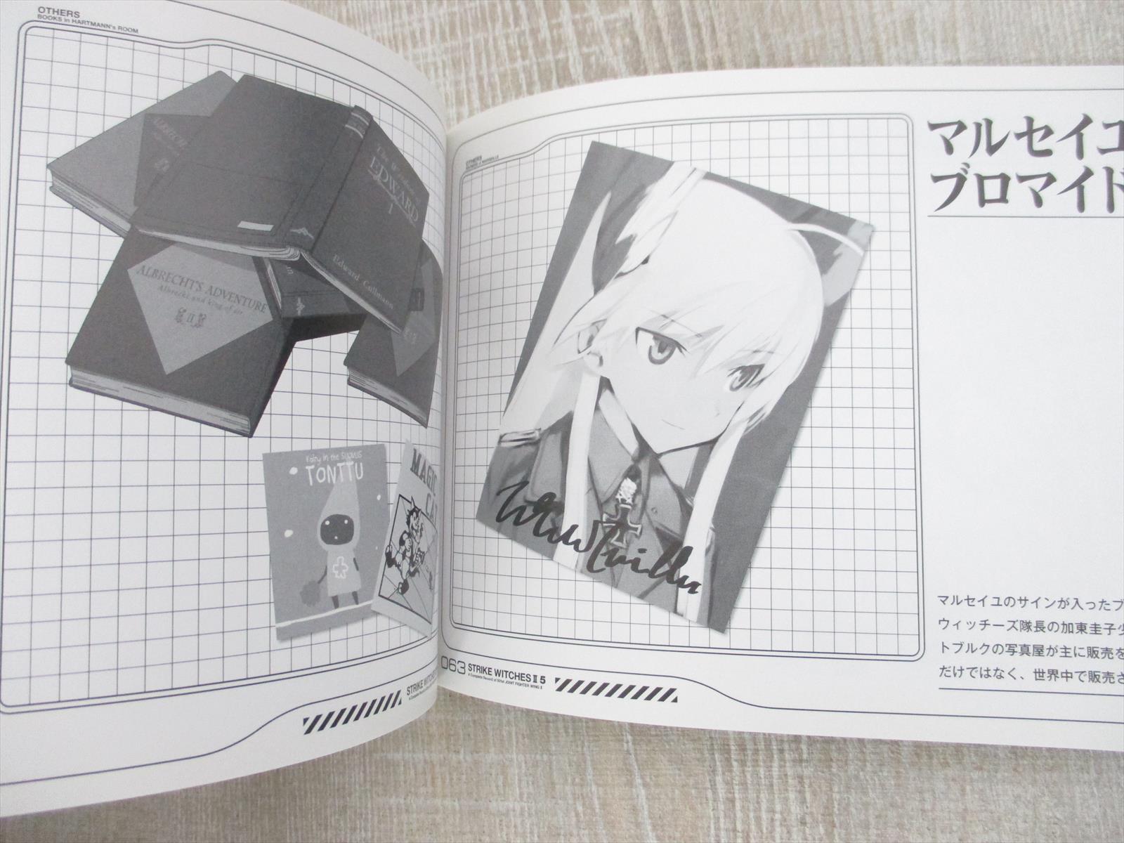 Strike Witches Ii 2 5 Art Works Japan Fan Book 10 Ltd Ebay