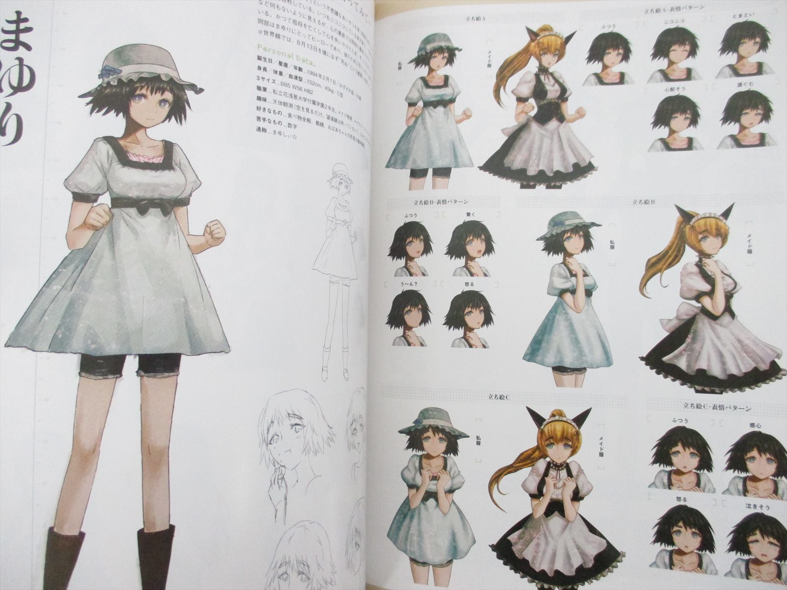 STEINS GATE Official Art Works w/Poster Book Nitroplus Xbox360