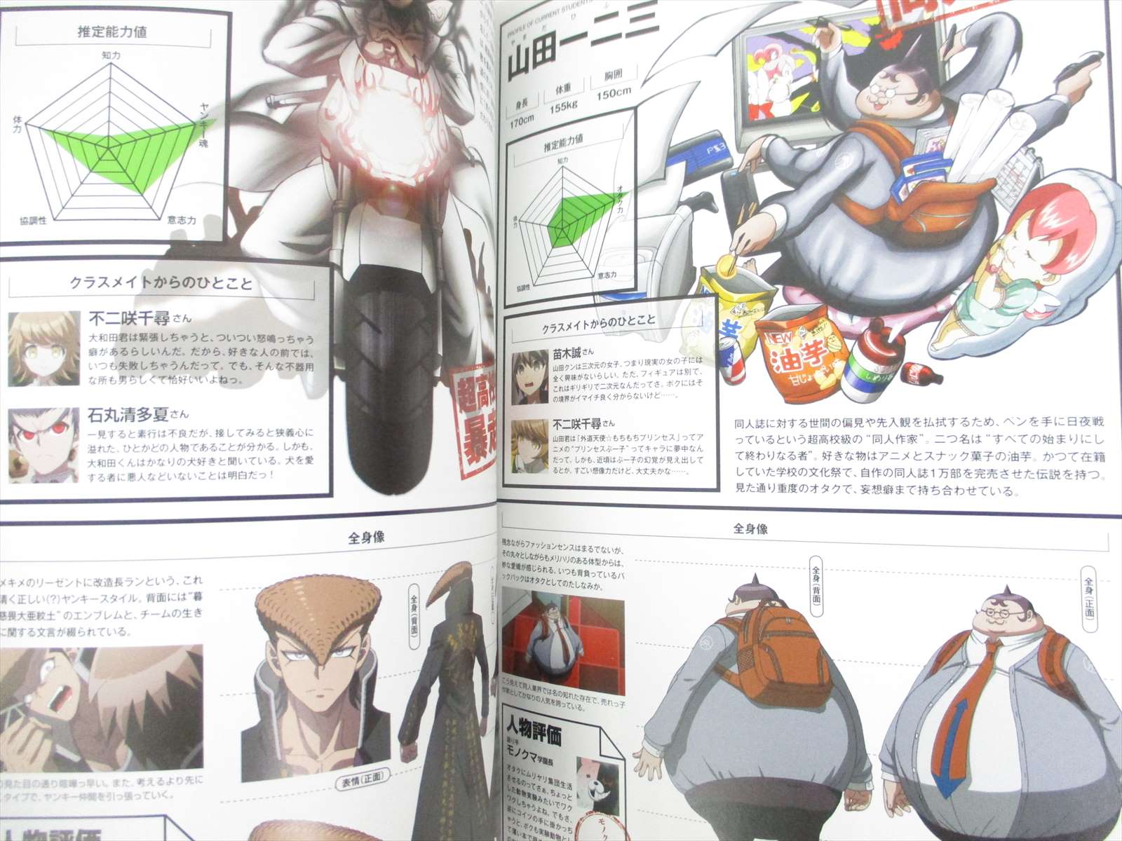 Danganronpa Animation Guide Art Works Fan Book Japan 2013 06 Ebay