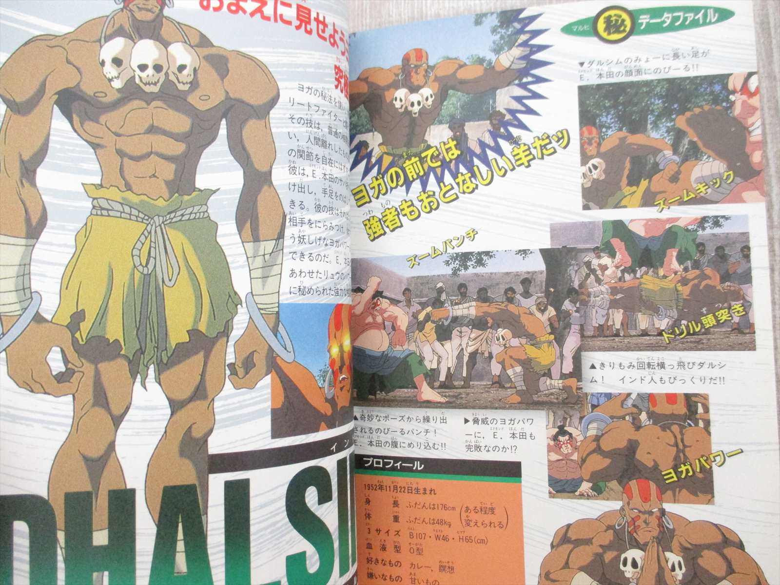 STREET FIGHTER II 2 MOVIE CHO HYAKKA Encyclopedia Art Fan
