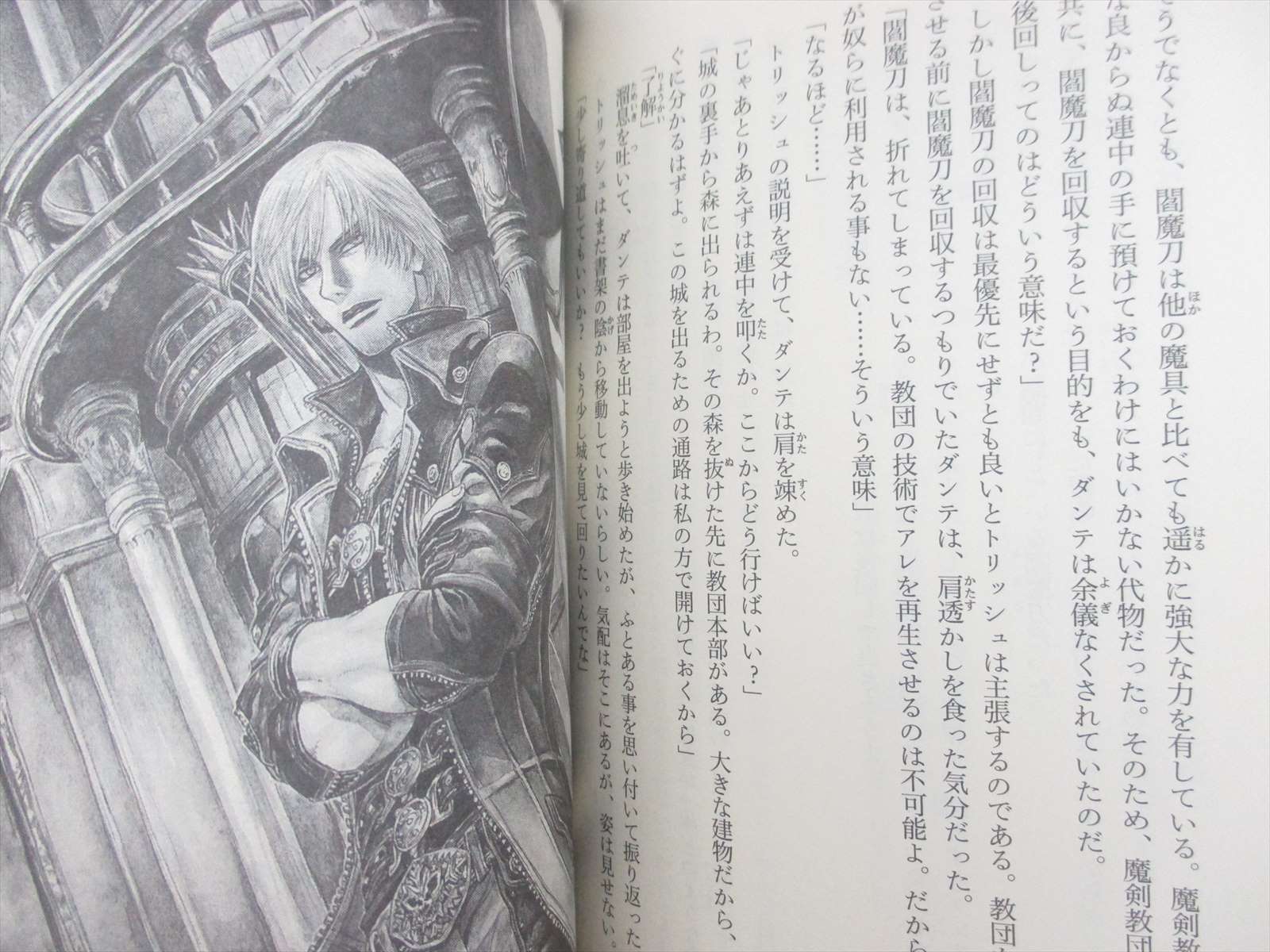 DEVIL MAY CRY Deadly Fortune Novel Complete Set 1&2 BINGO