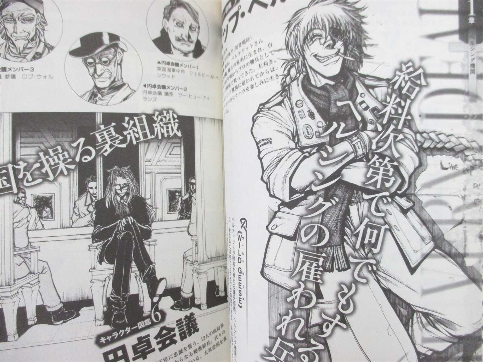 Hellsing Official Guide Art Material 12 Fan Book 54 Ebay