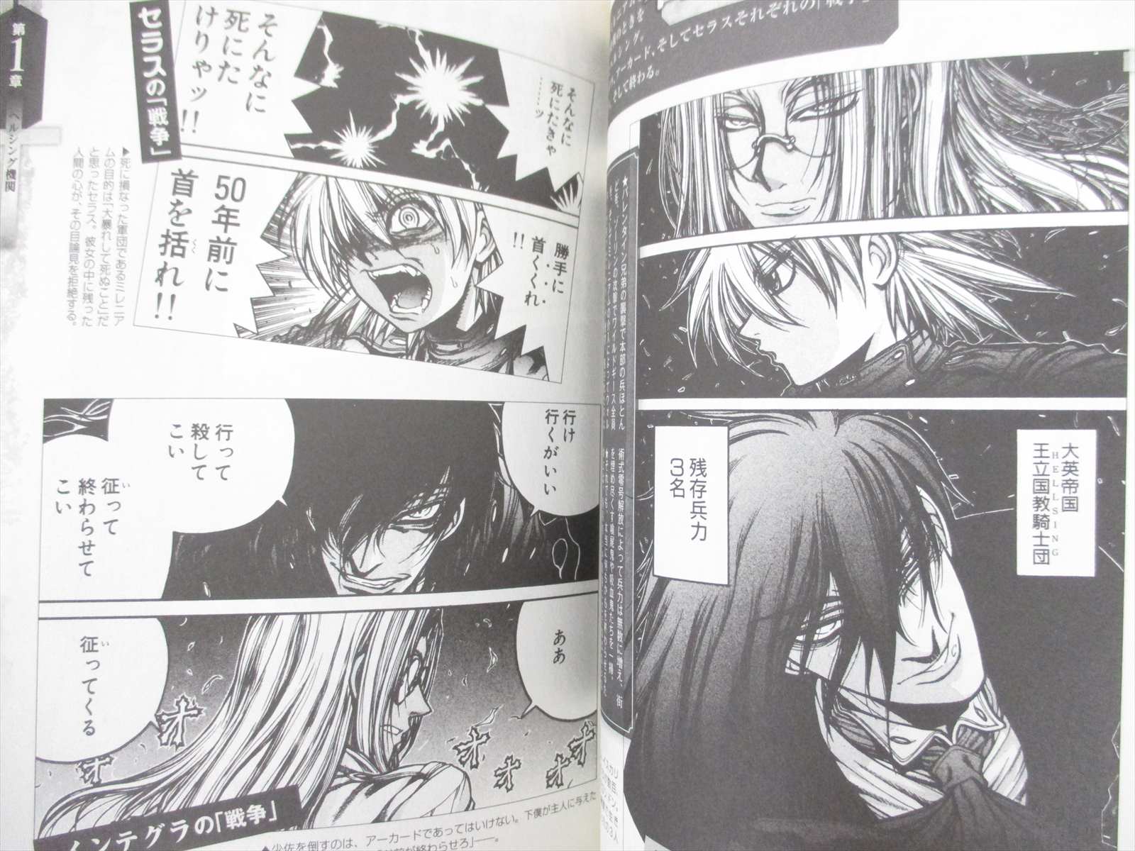 Hellsing Official Guide Art Material 12 Fan Book 54 Ebay