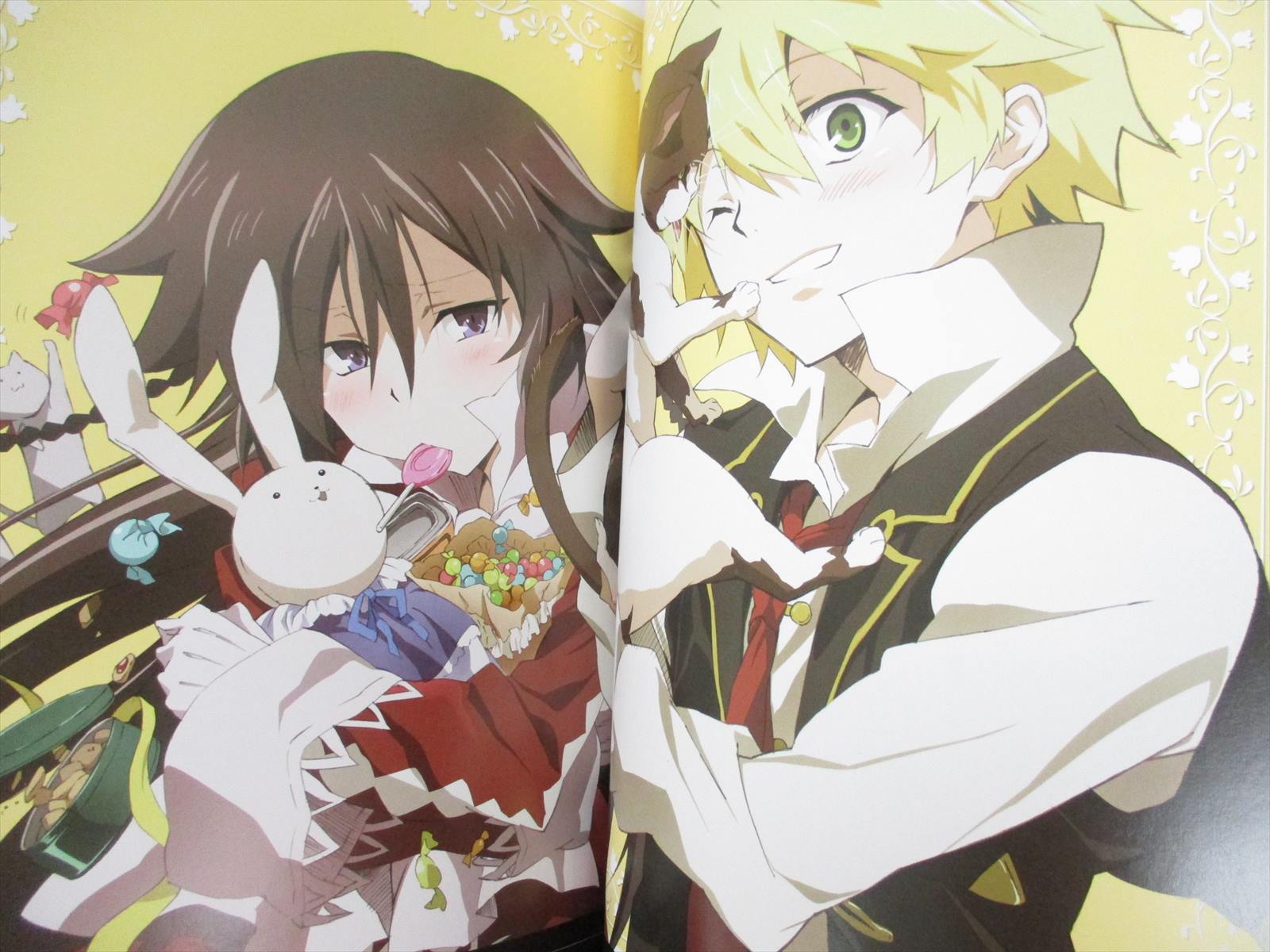 PANDORA HEARTS Official Animation Guide PANDORA BOX Art Fan Book SE45* eBay