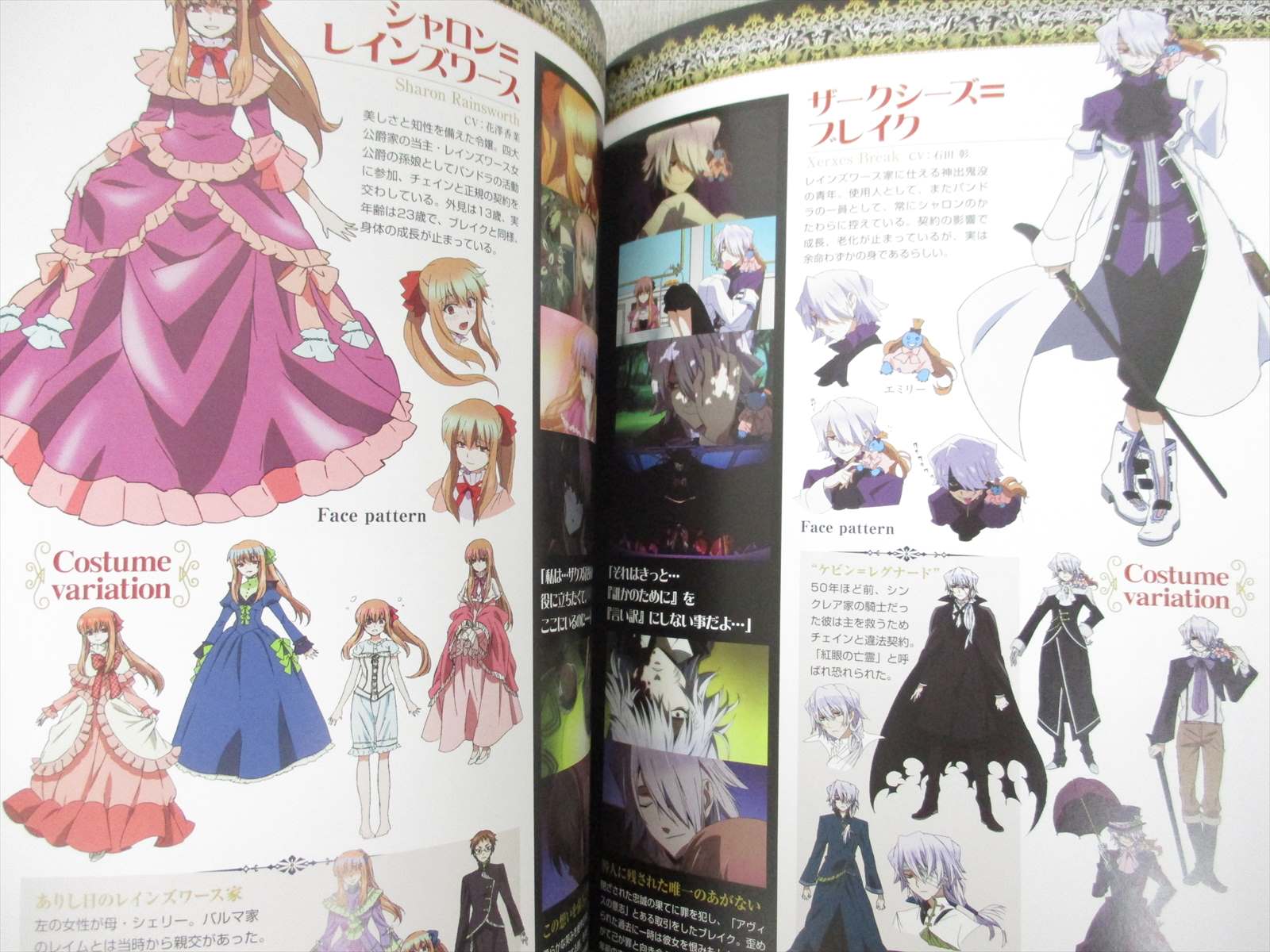 Pandora Hearts Official Animation Guide Pandora Box Art Fan Book Se45 Ebay