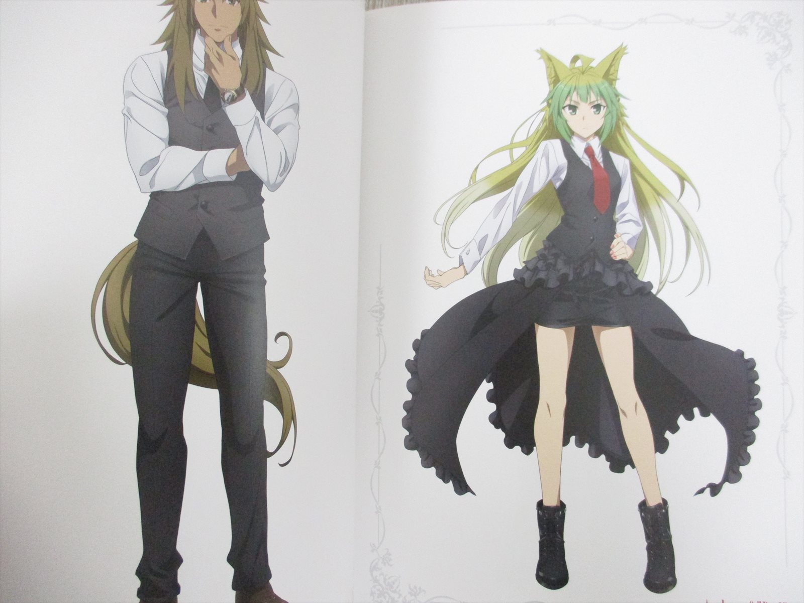 FATE APOCRYPHA Epilogue Event Illustrations Art Ltd Booklet
