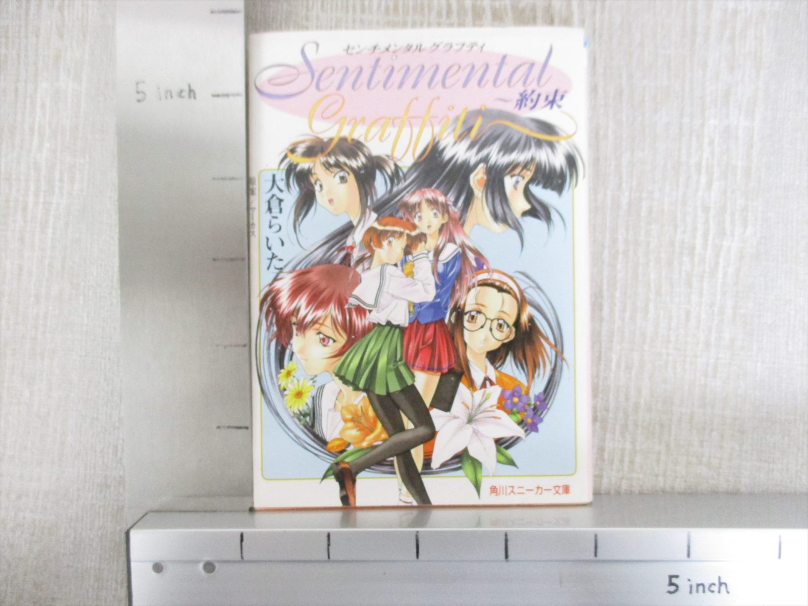 SENTIMENTAL GRAFFITI Novel RAITA OOKURA 1997 Book KD14* | eBay