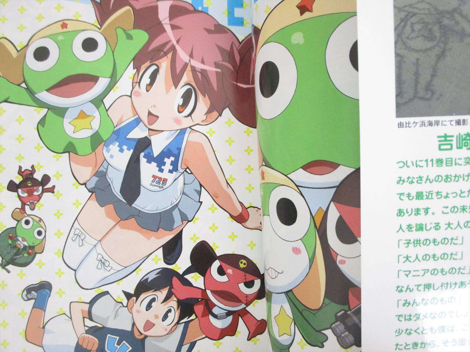 Keroです USED Nintendo DS Kero Kero 7 96471 JAPAN IMPORT | eBay