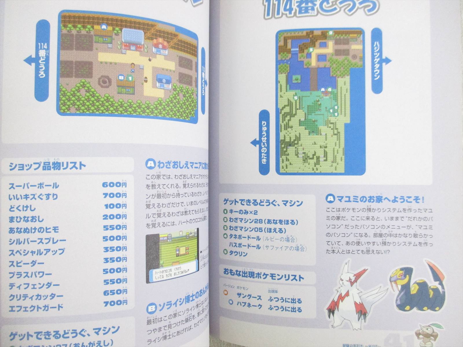 Pokemon Ruby Sapphire Guide Book Game Cube 03 Ltd Ebay