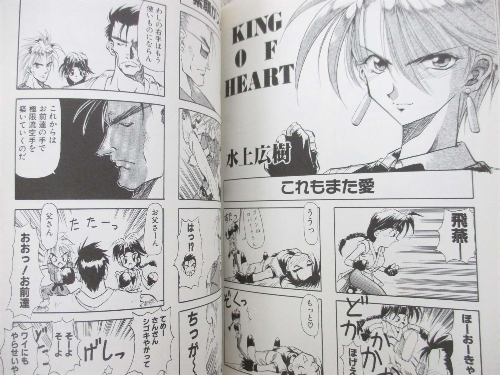 ART OF FIGHTING 2 Ryuko Ken 4 Koma Manga Comic SNES Book 1994 SI56