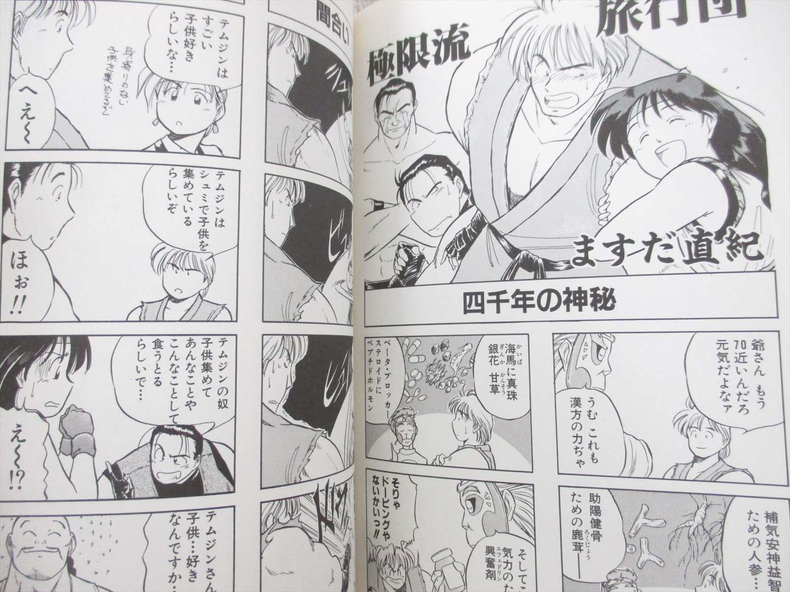 ART OF FIGHTING 2 Ryuko Ken 4 Koma Manga Comic SNES Book 1994 SI56