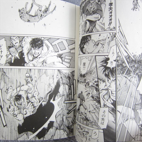 SUPER STREET FIGHTER IIX Gaiden Manga Comic Complete Set 1&2