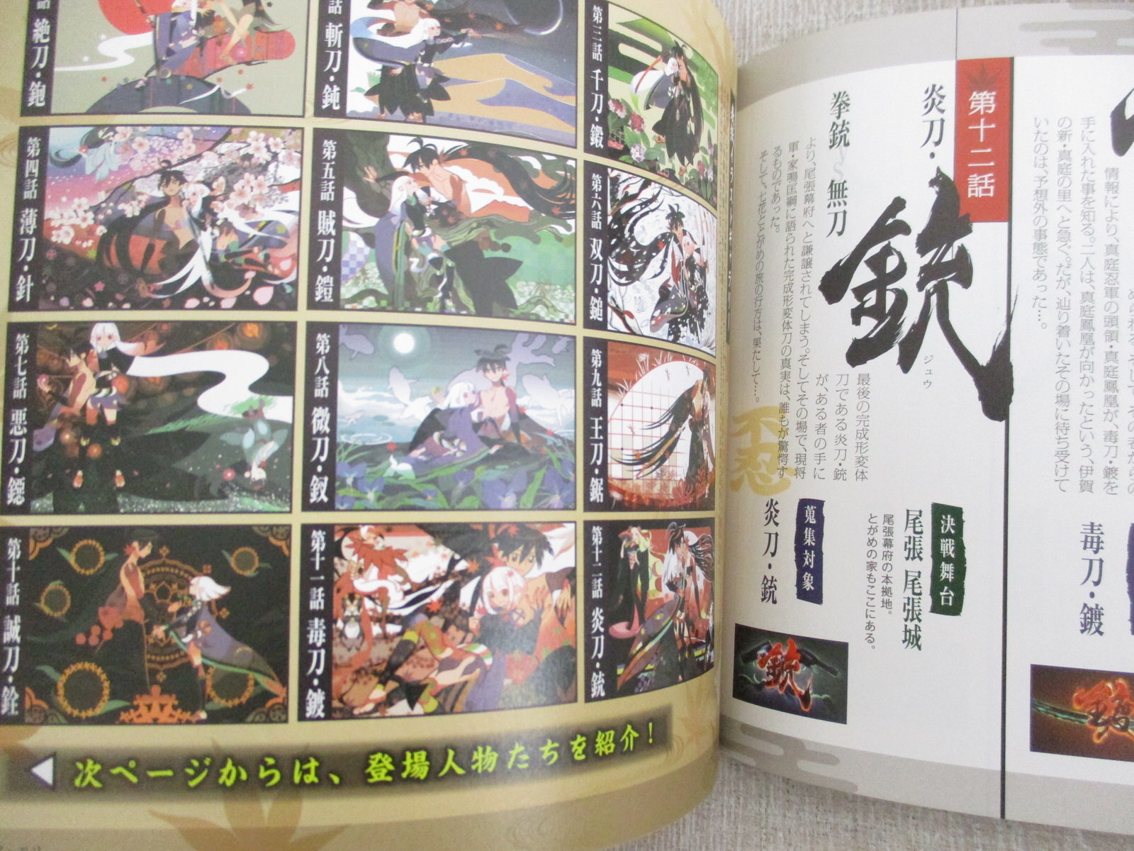 Katanagatari Nyumon Emaki Art Works Nisioisin Ltd Booklet Book Ebay