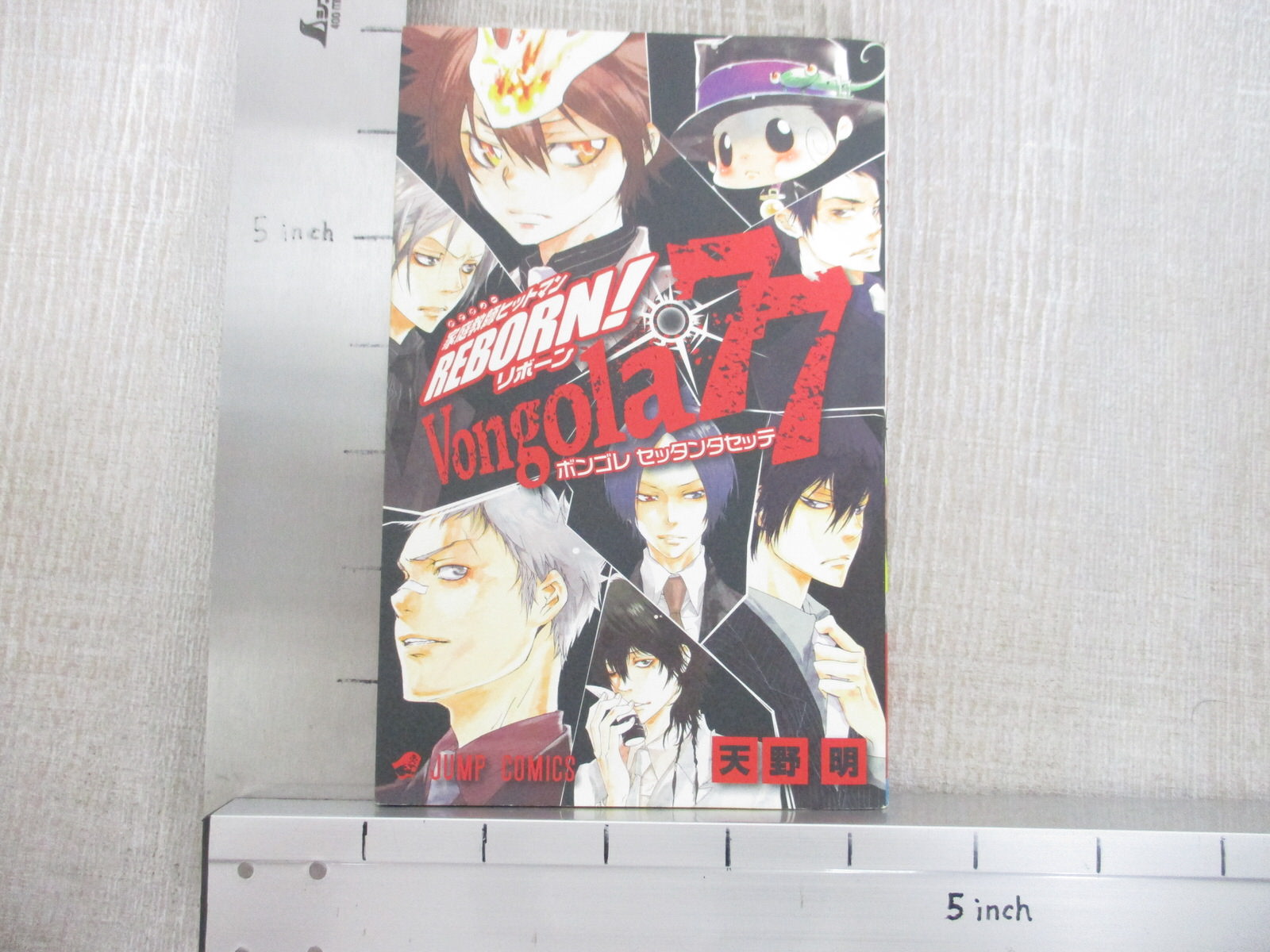 KATEKYO HITMAN REBORN Character Book VONGOLA 77 w/Poster Art